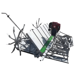 Paddy Transplanter